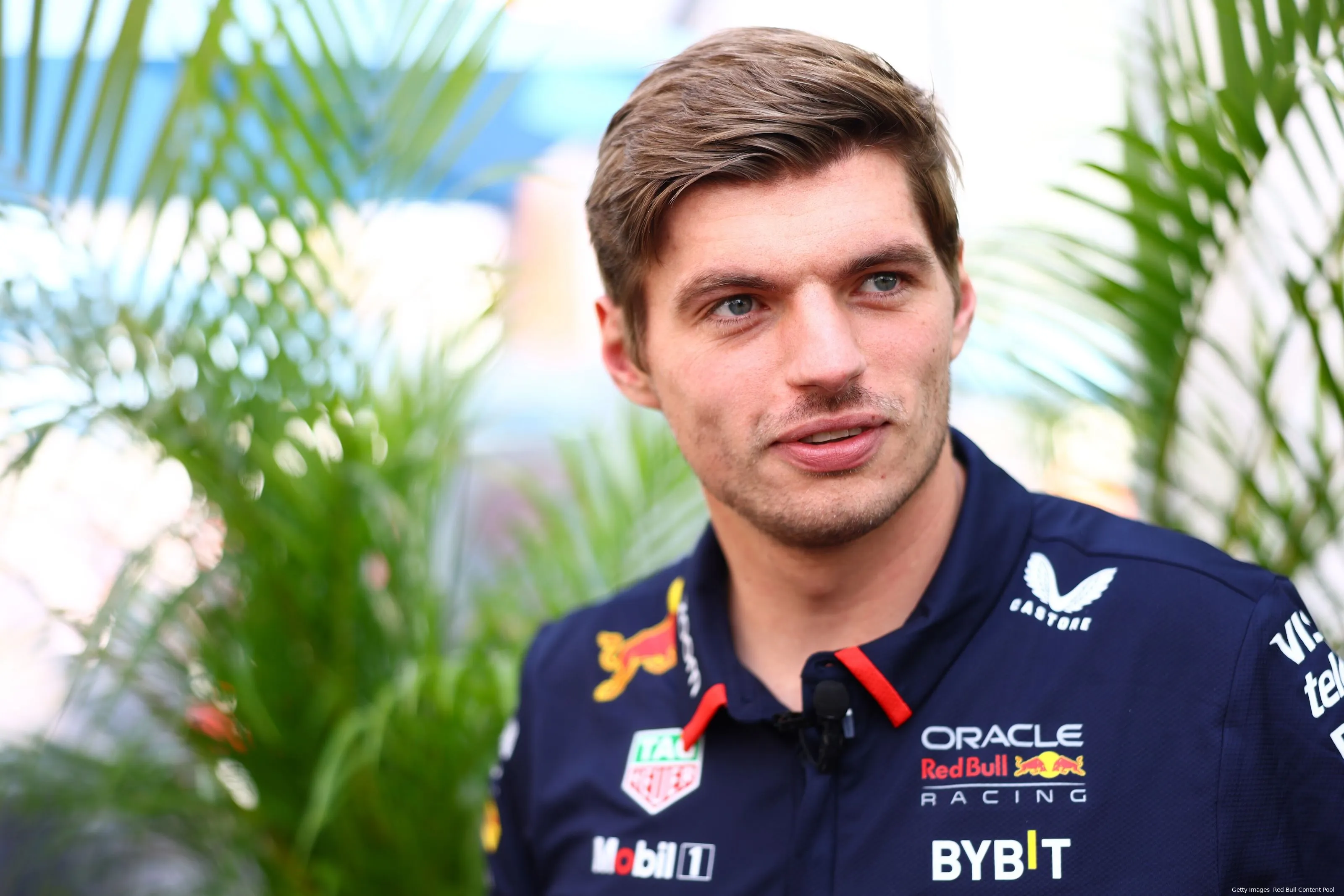 verstappennorris redbull rbcp19