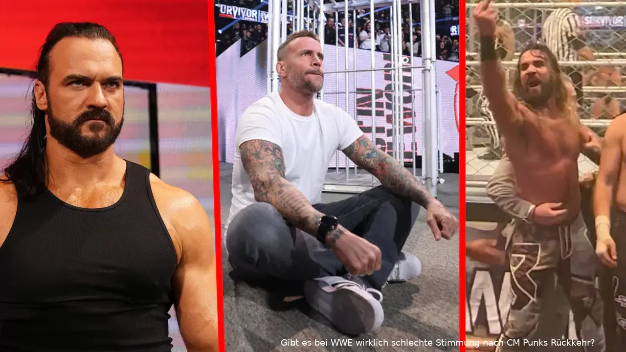 wwe cm punk aerger 1123