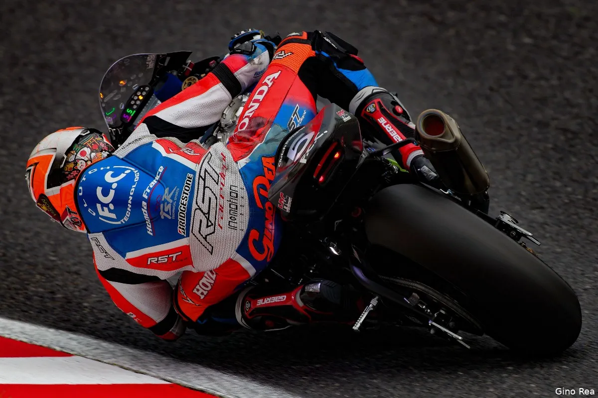 suzuka gino rea 2022