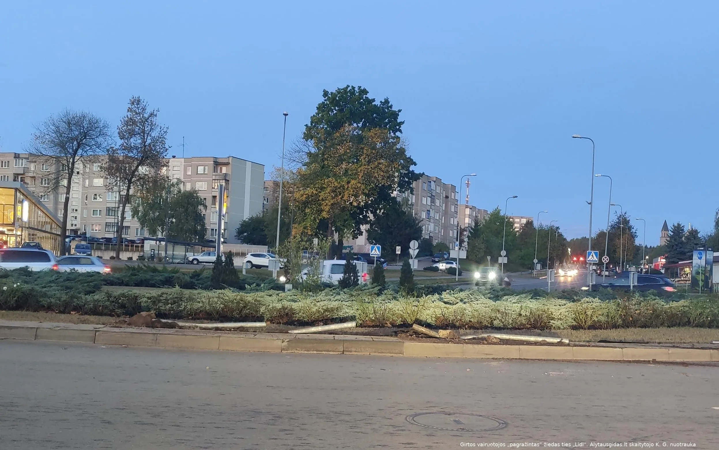 ziedbumimg 20231006 071256