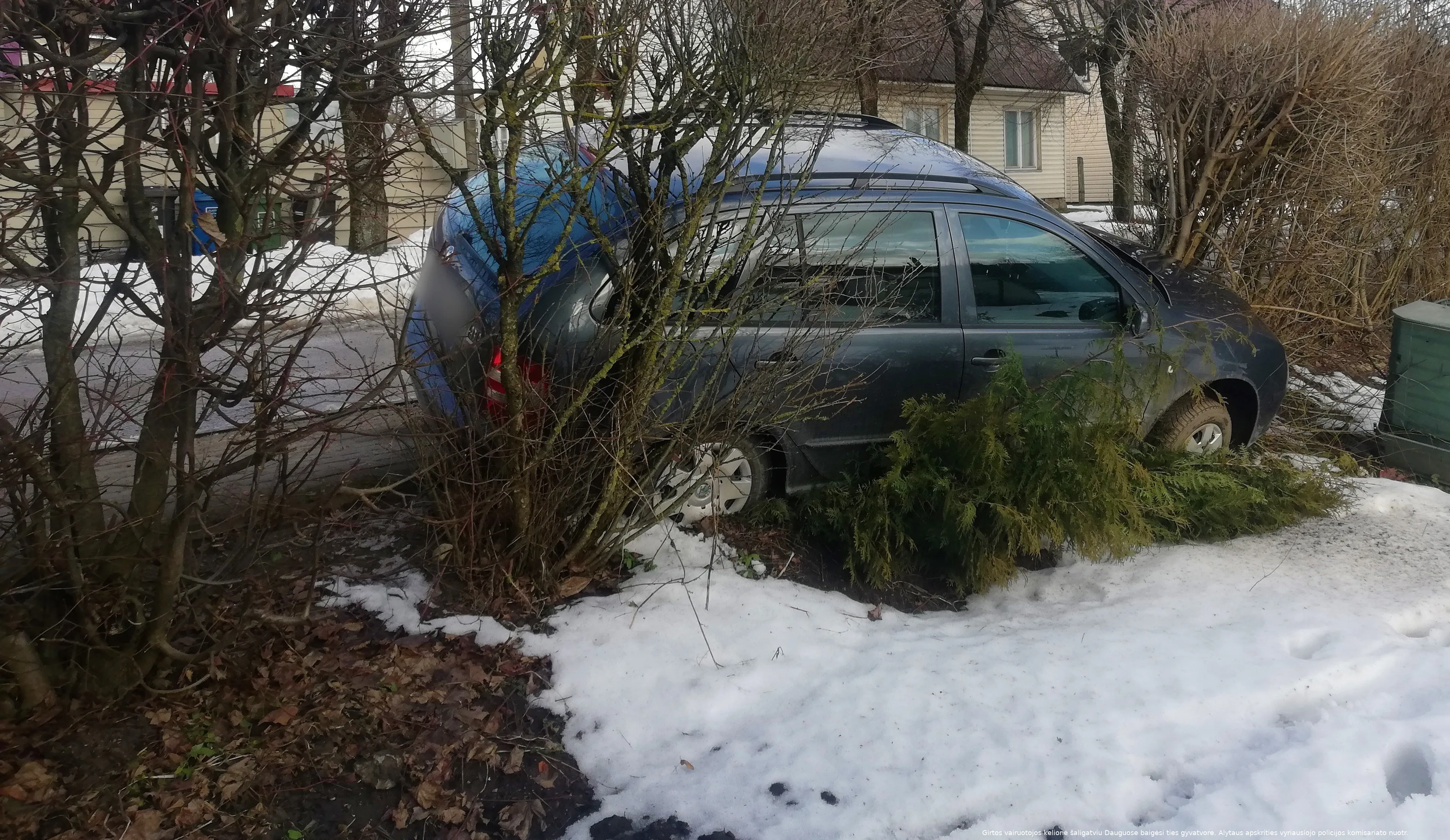 nuotrauka nr 7 1 1 1