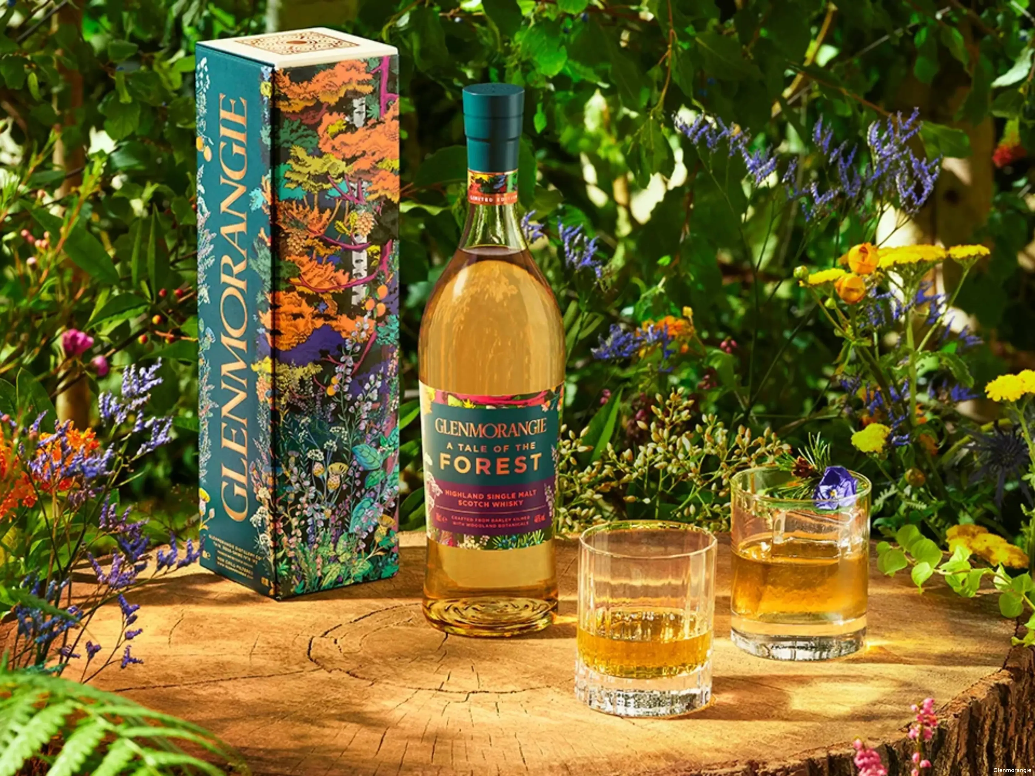 Glenmorangie A Tale of the Forest Review (1)