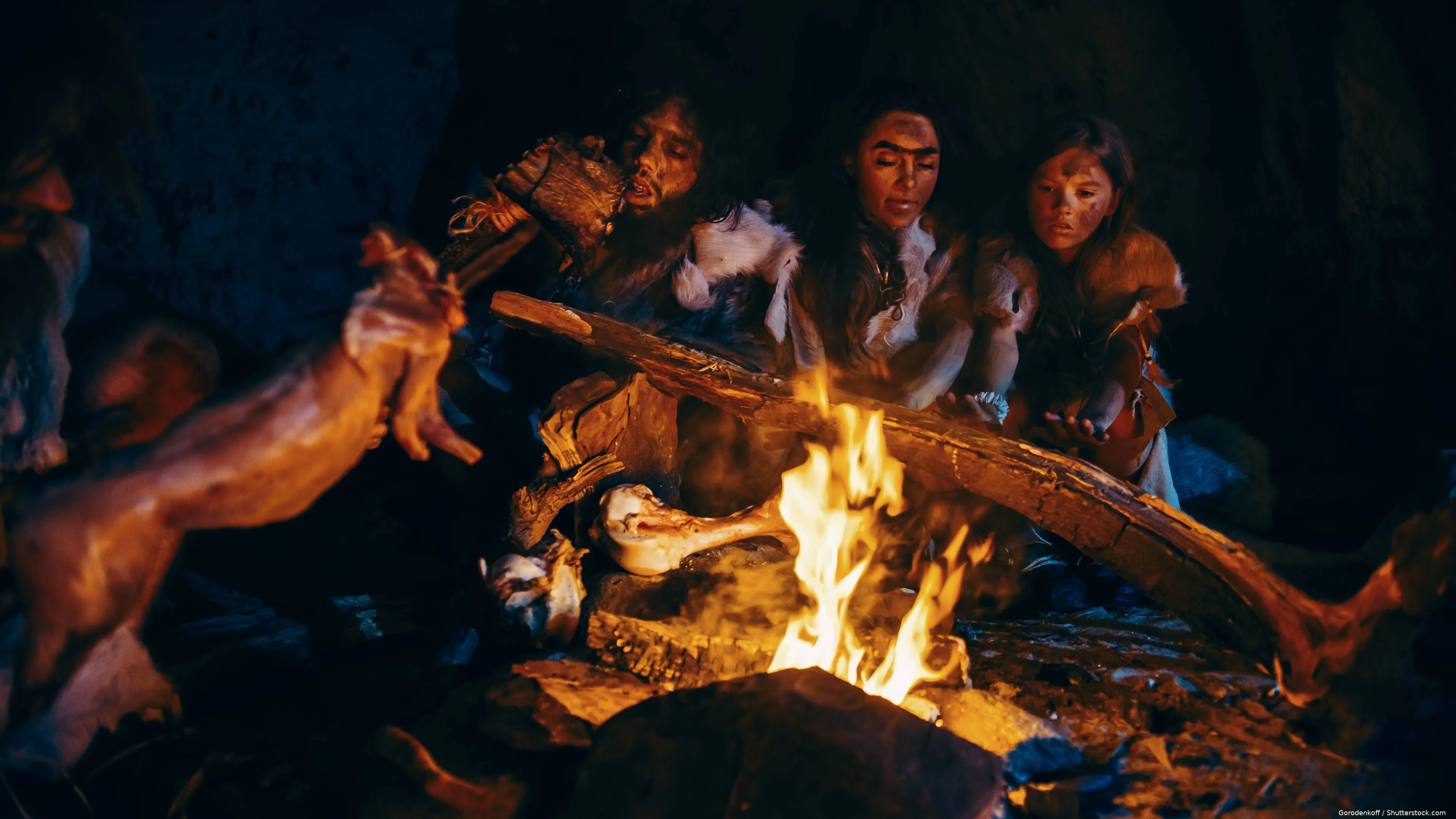 shutterstock_1595983555