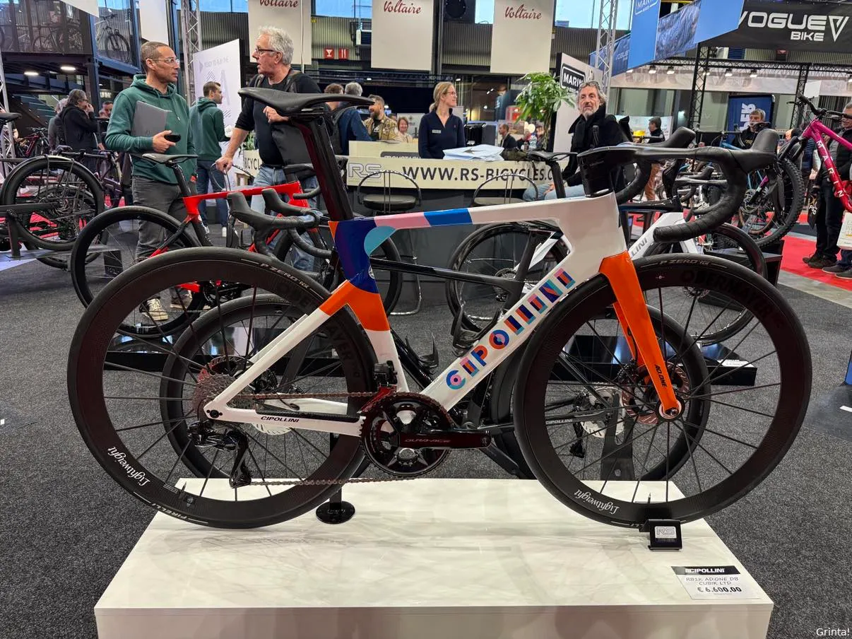 12 cipollini