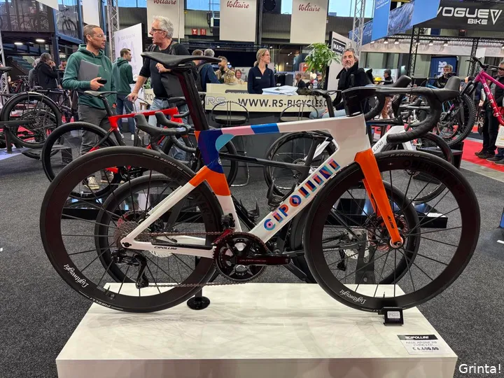 12 cipollini