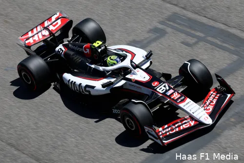 <i>Bearman geeft aan dat er geen rode vlag werd gezwaaid toen hij over de finishlijn kwam.</i>