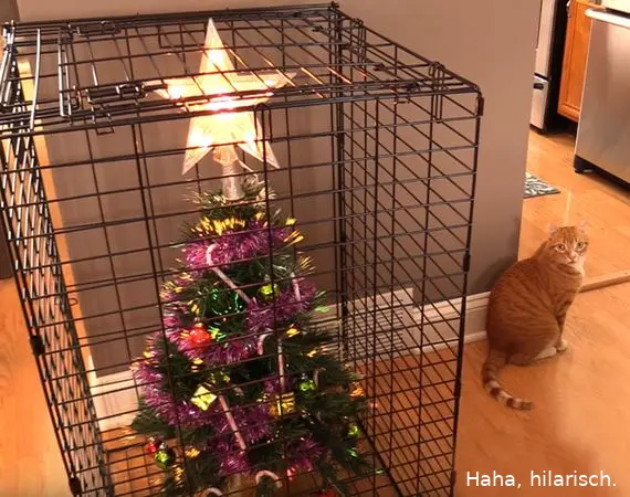 kerstboomhuisdier05