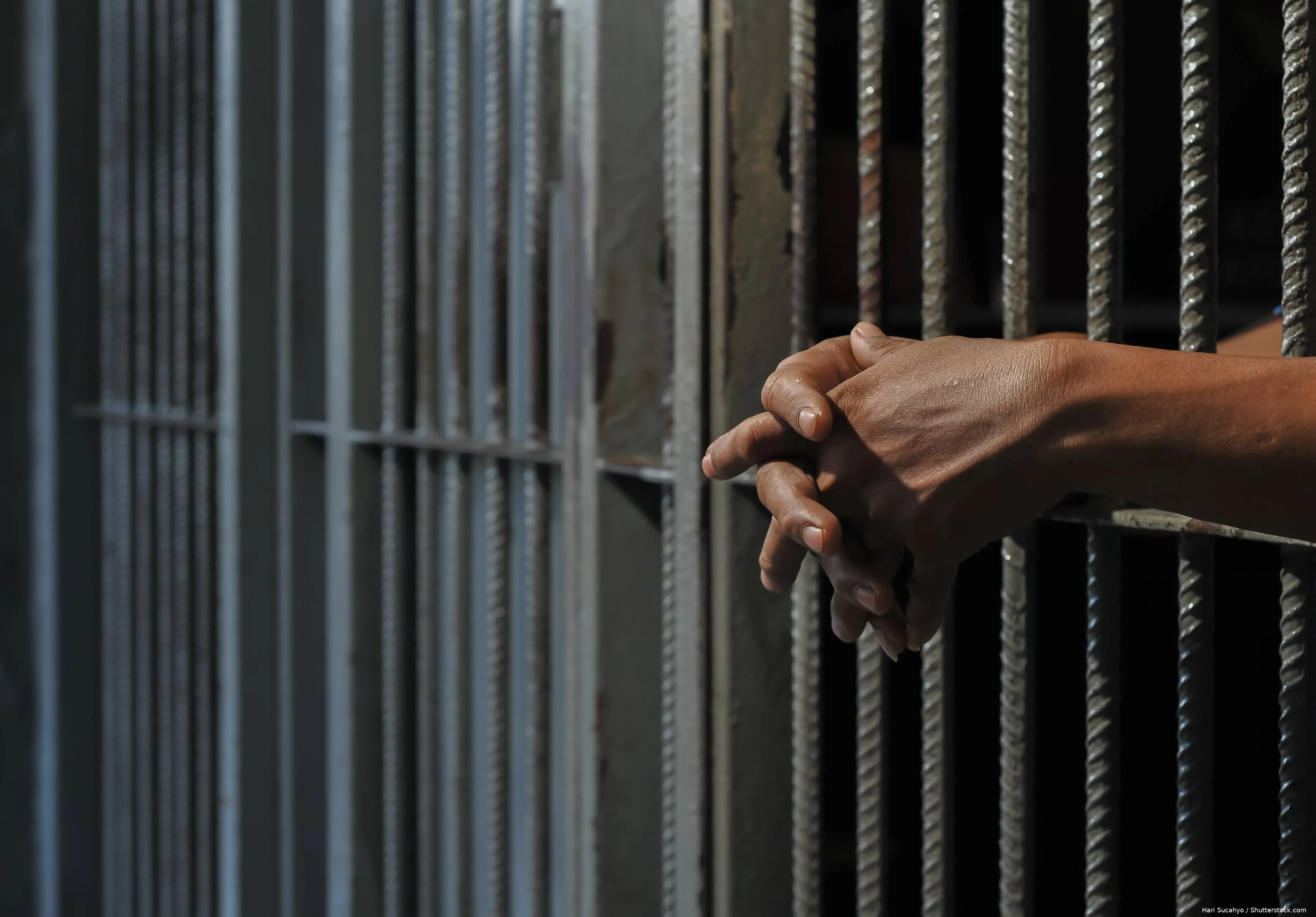 shutterstock_2653021809