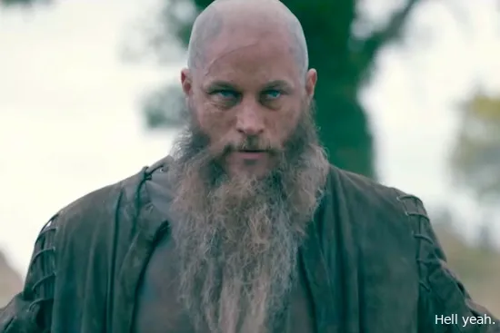 vikings41