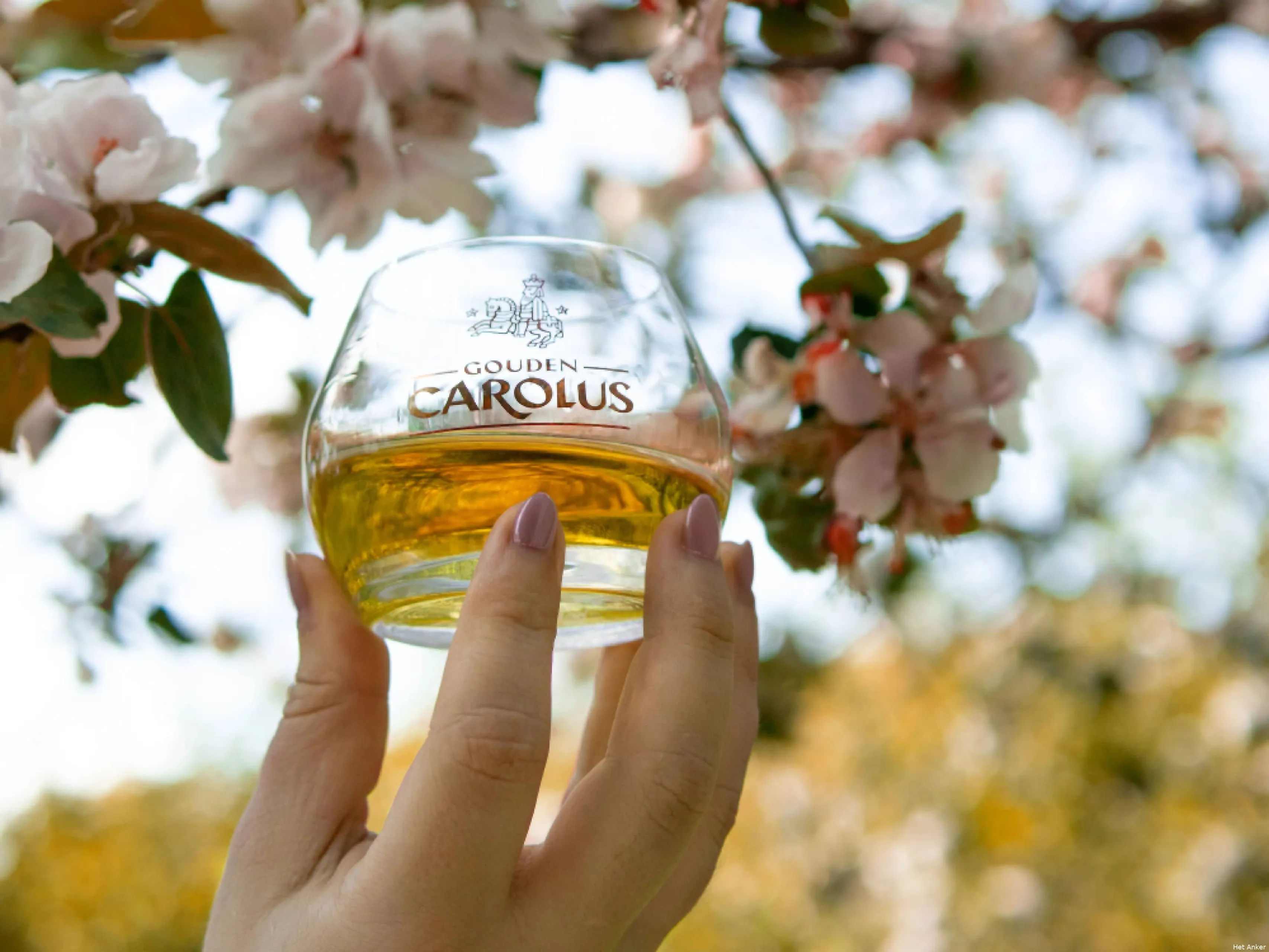 Het Anker Gouden Carolus Giverny whisky (1)