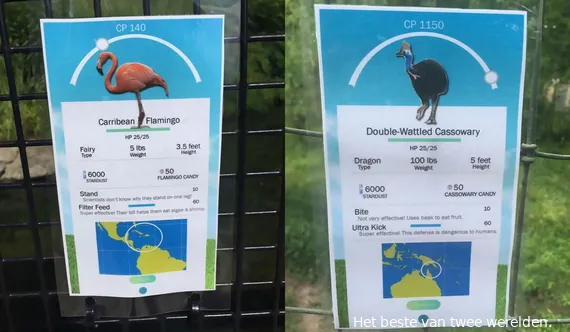pokemon zoo front