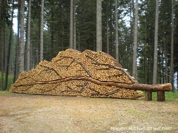 woodpacking09