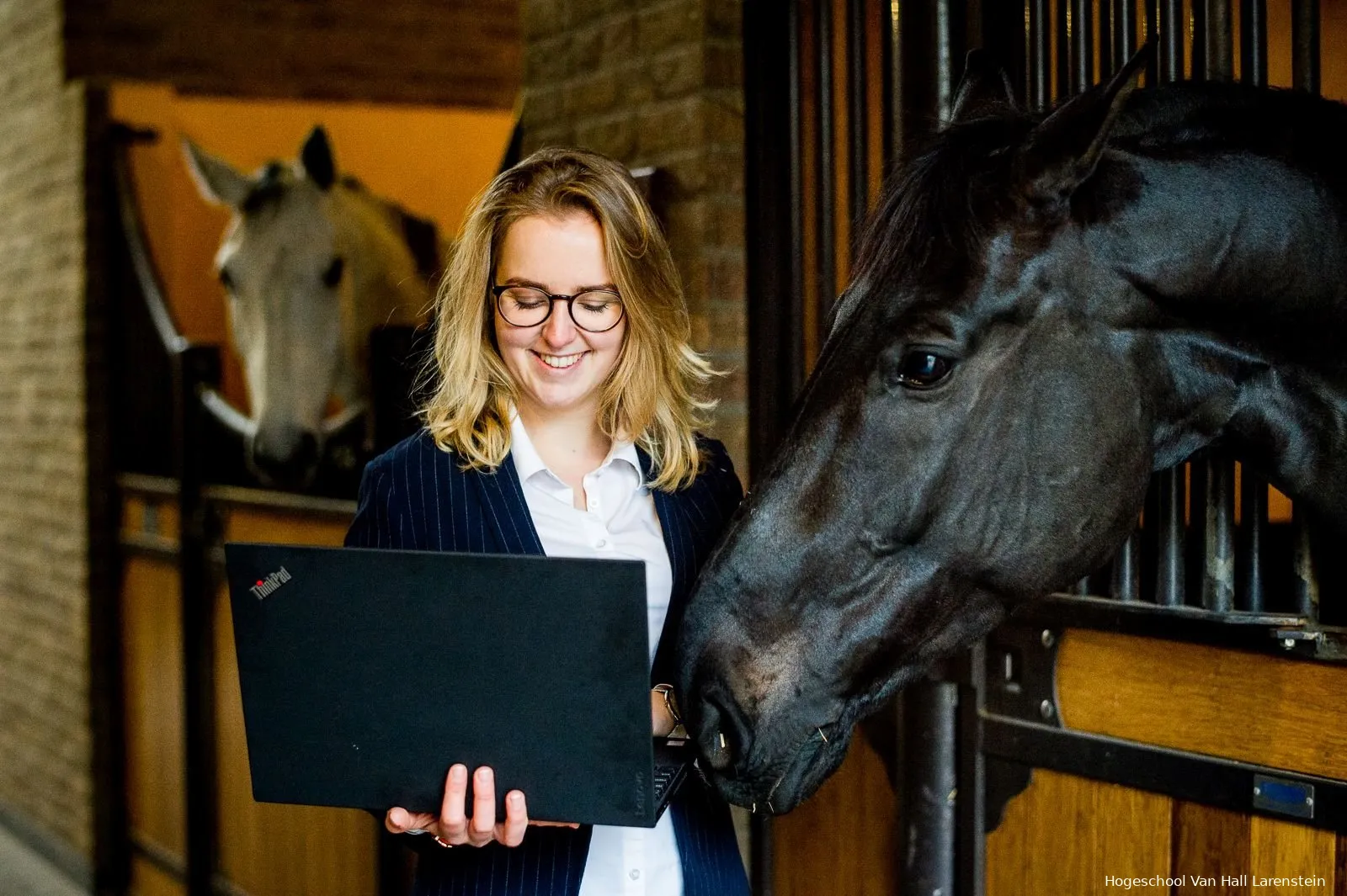 hvhl masterclasses paarden