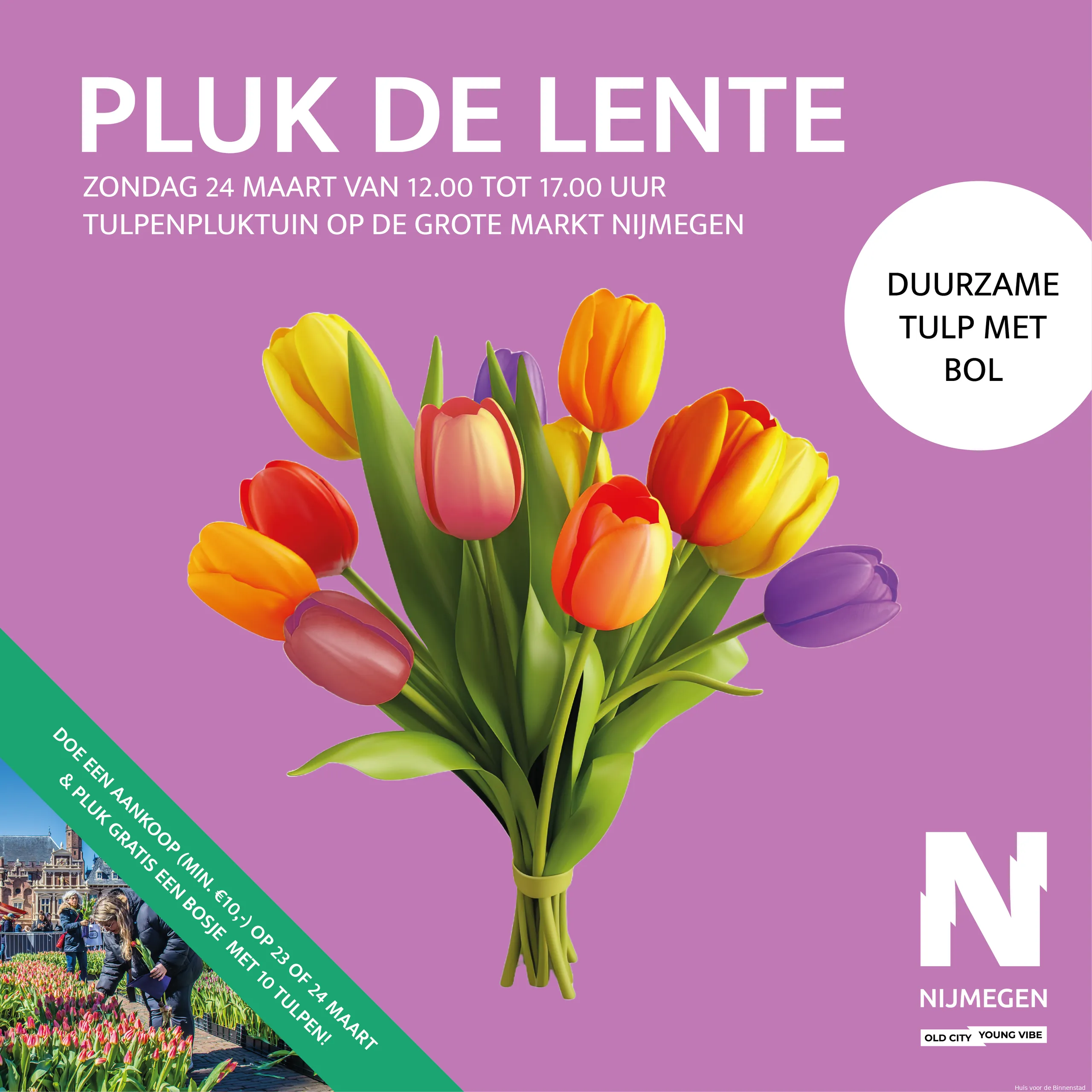 nijmegen tulpenpluktuin social