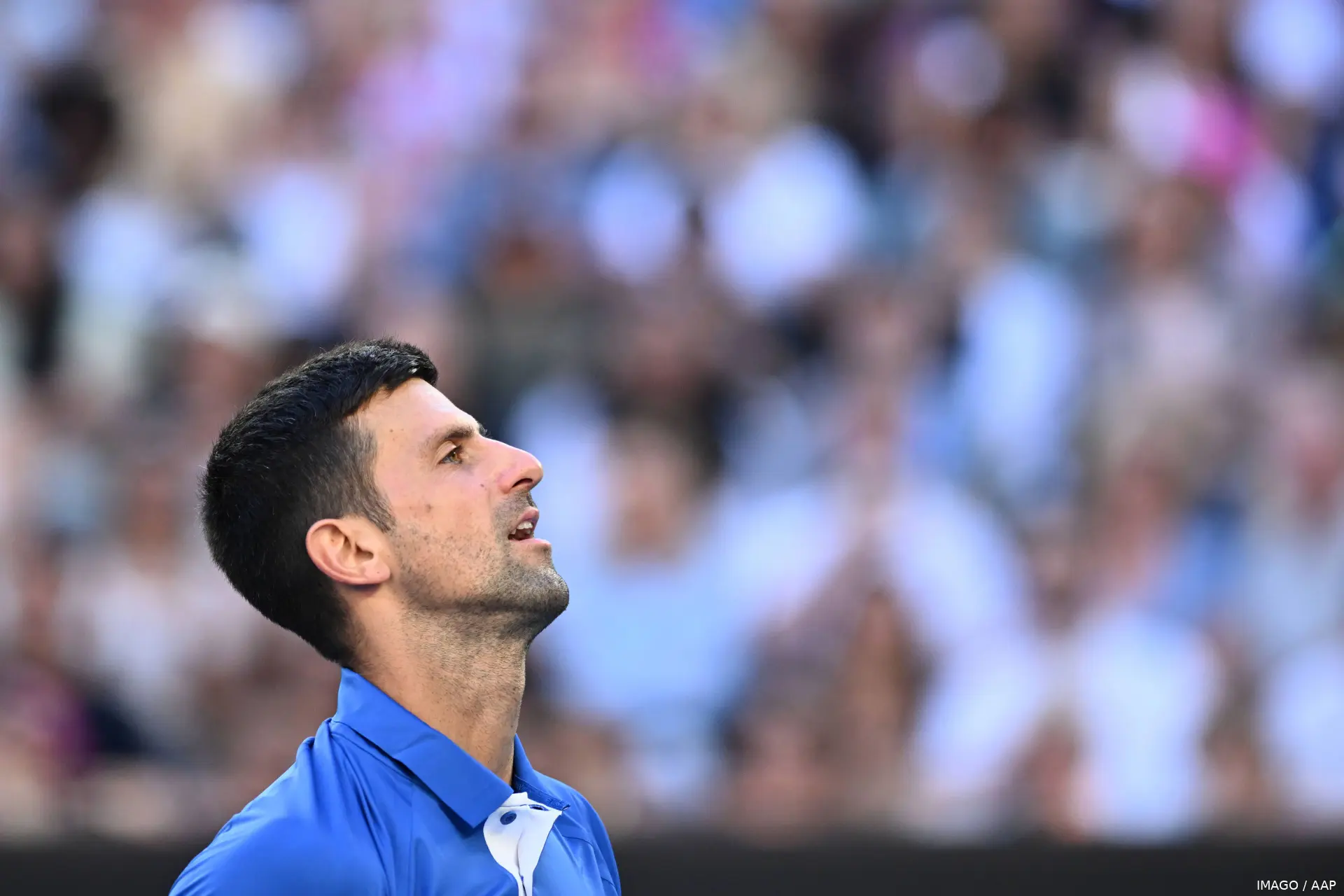 djokovic novak australianopen24 imagoaap2