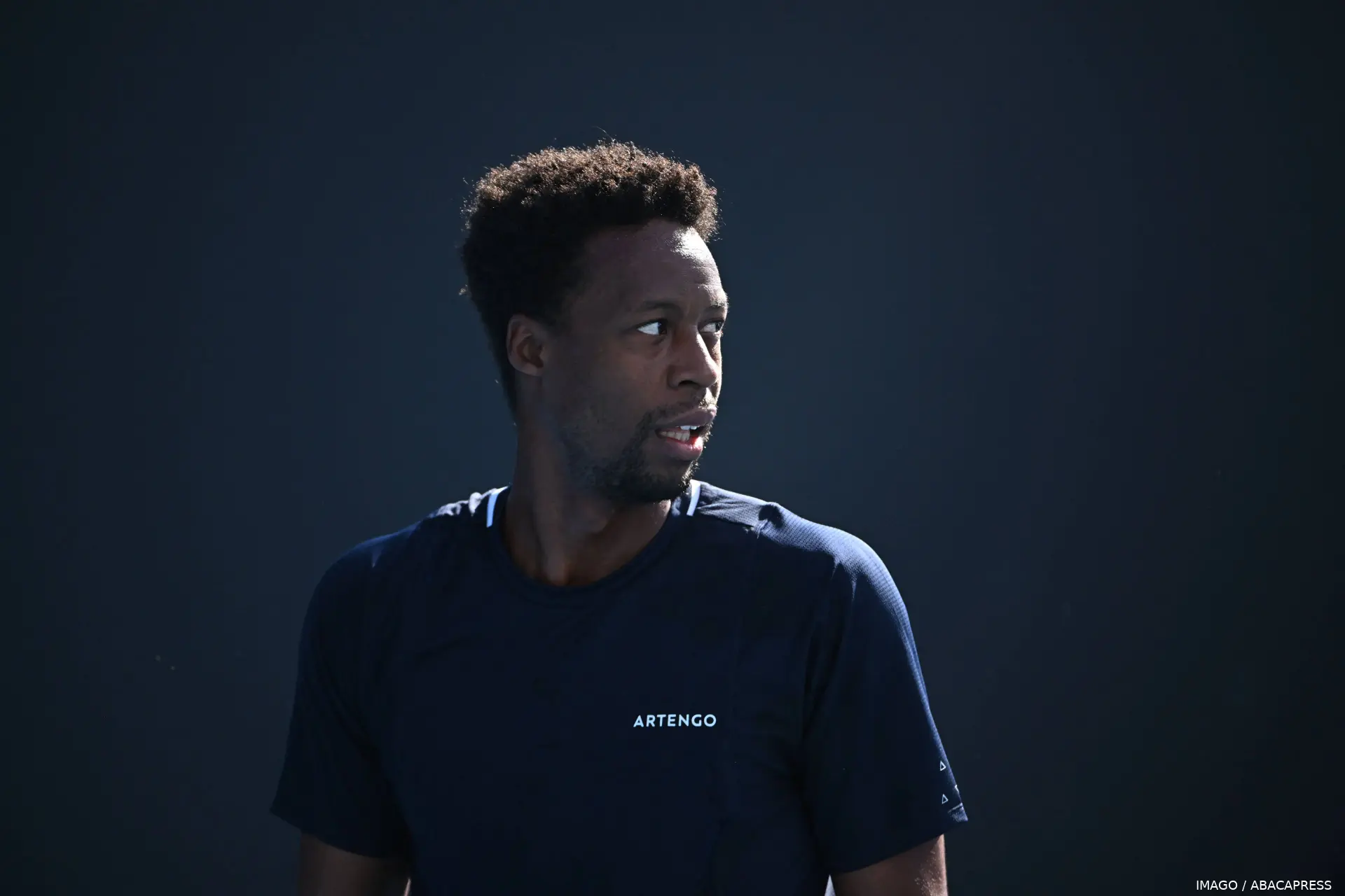 monfils gael australianopen24 imagoabacapress