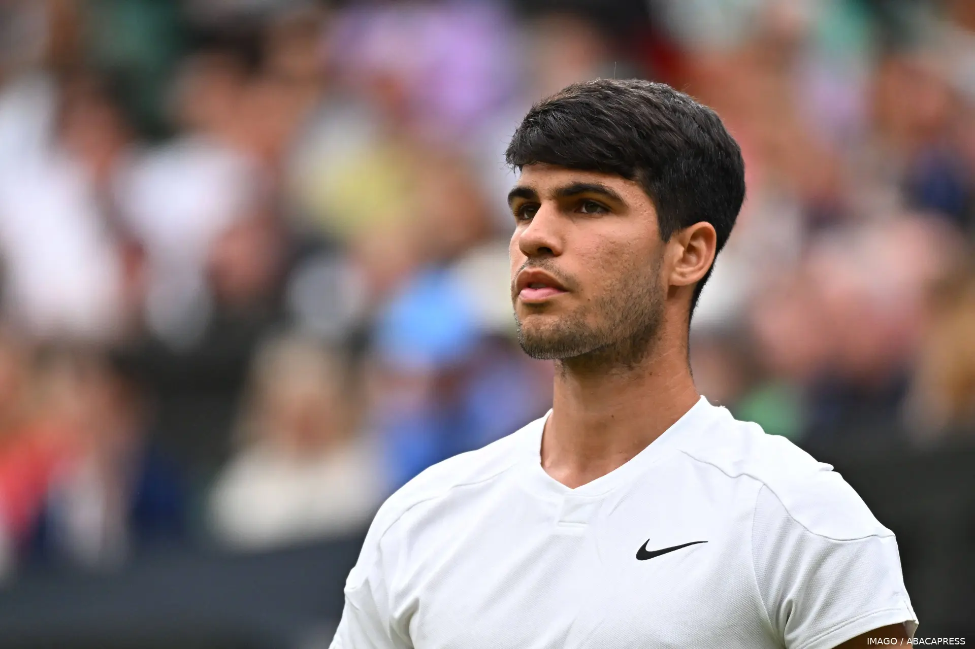 alcaraz carlos wimbledon24 imagoabacapress8
