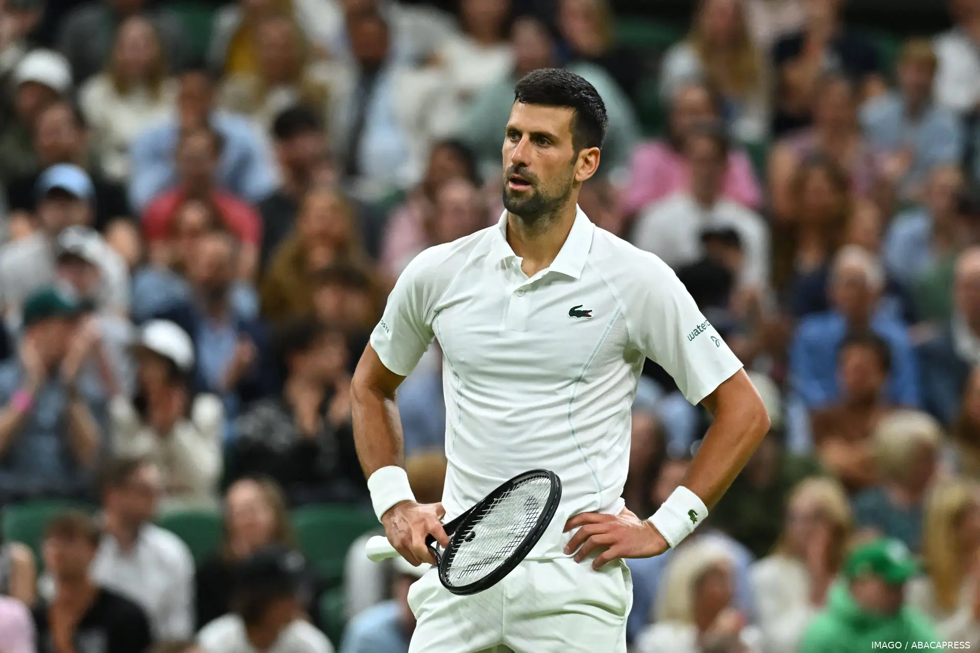 djokovic novak wimbledon24 imagoabacapress4