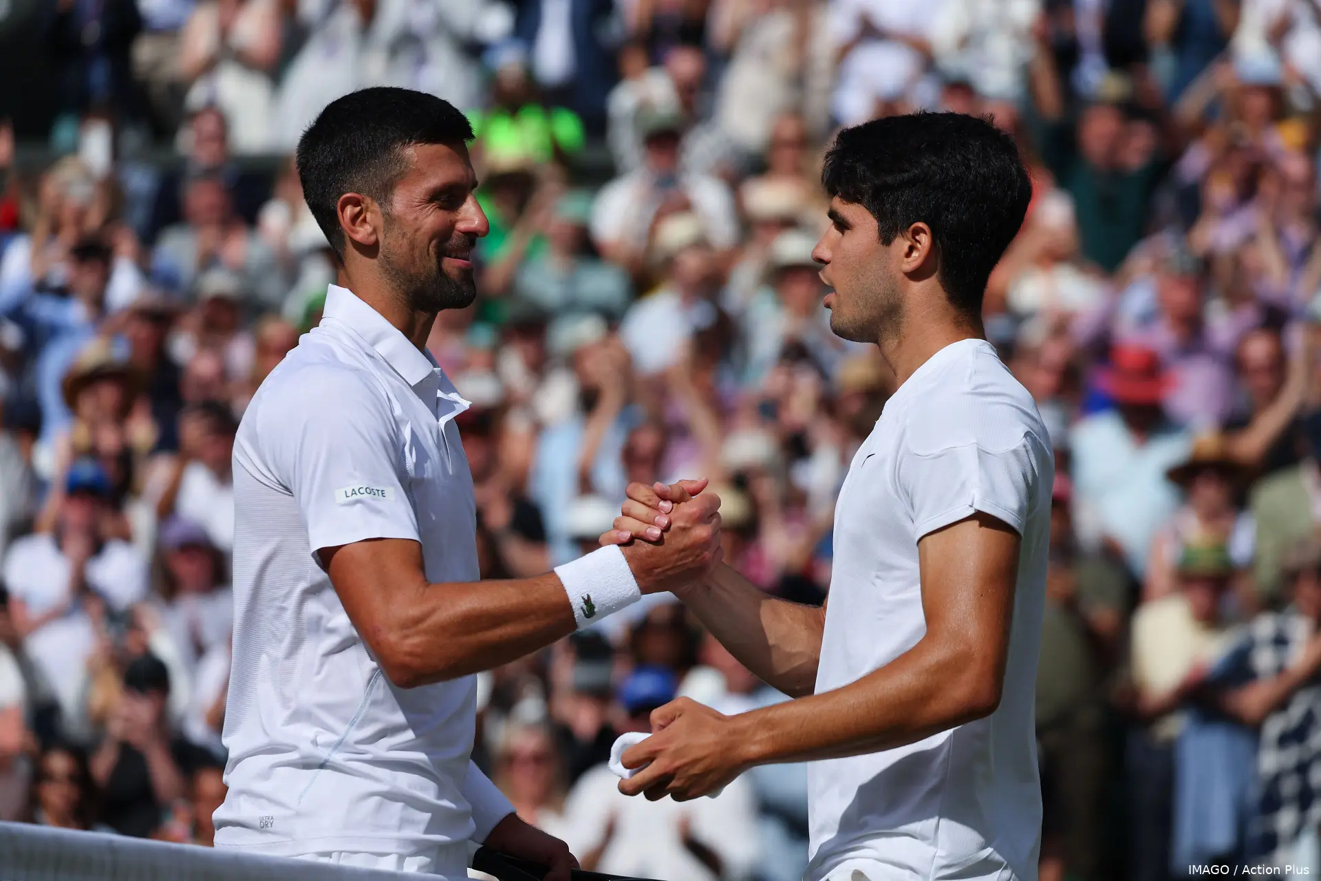 alcarazdjokovic wimbledon24 imagoactionplus