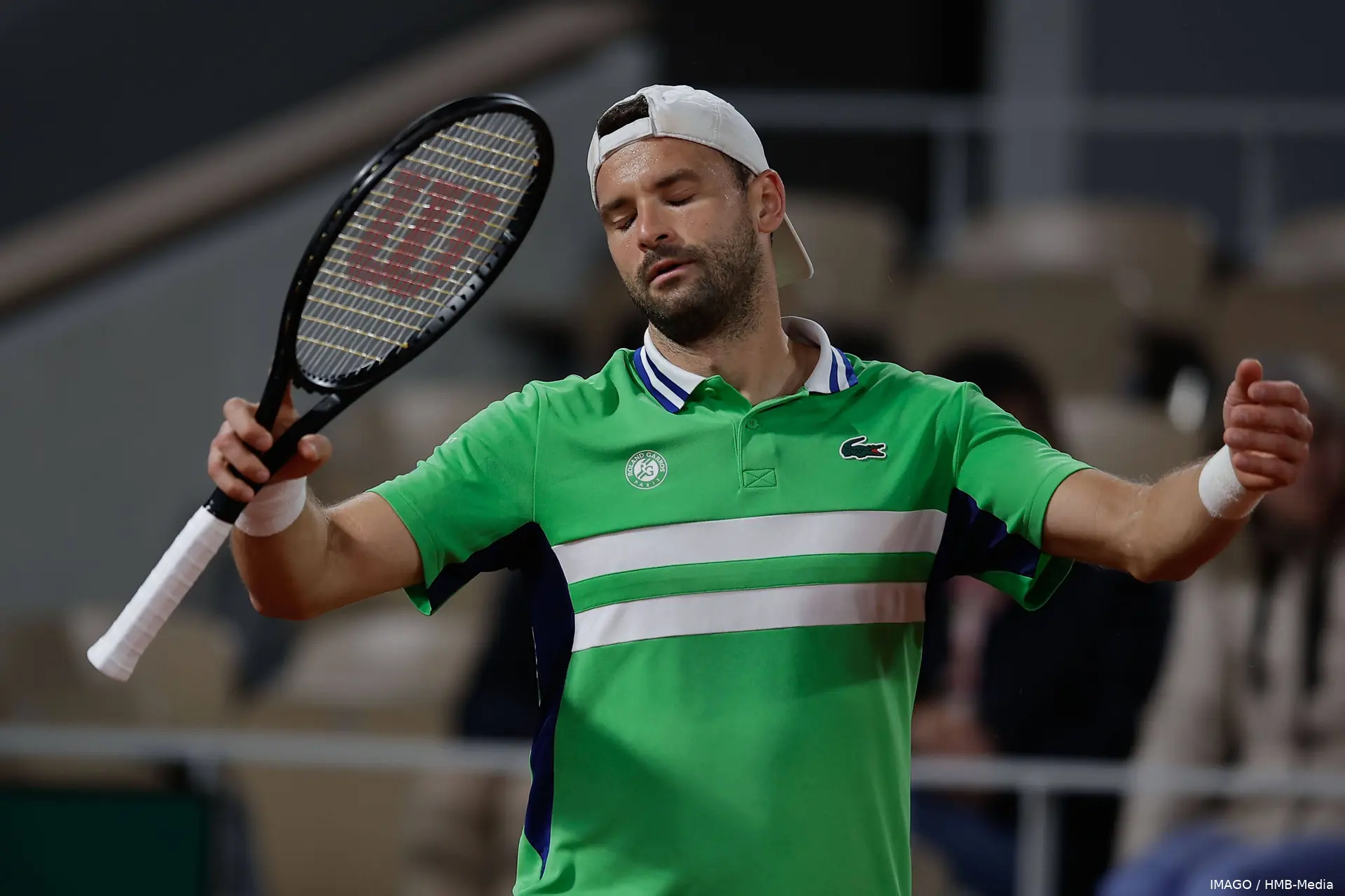 dimitrov grigor rg24 imagohmb media