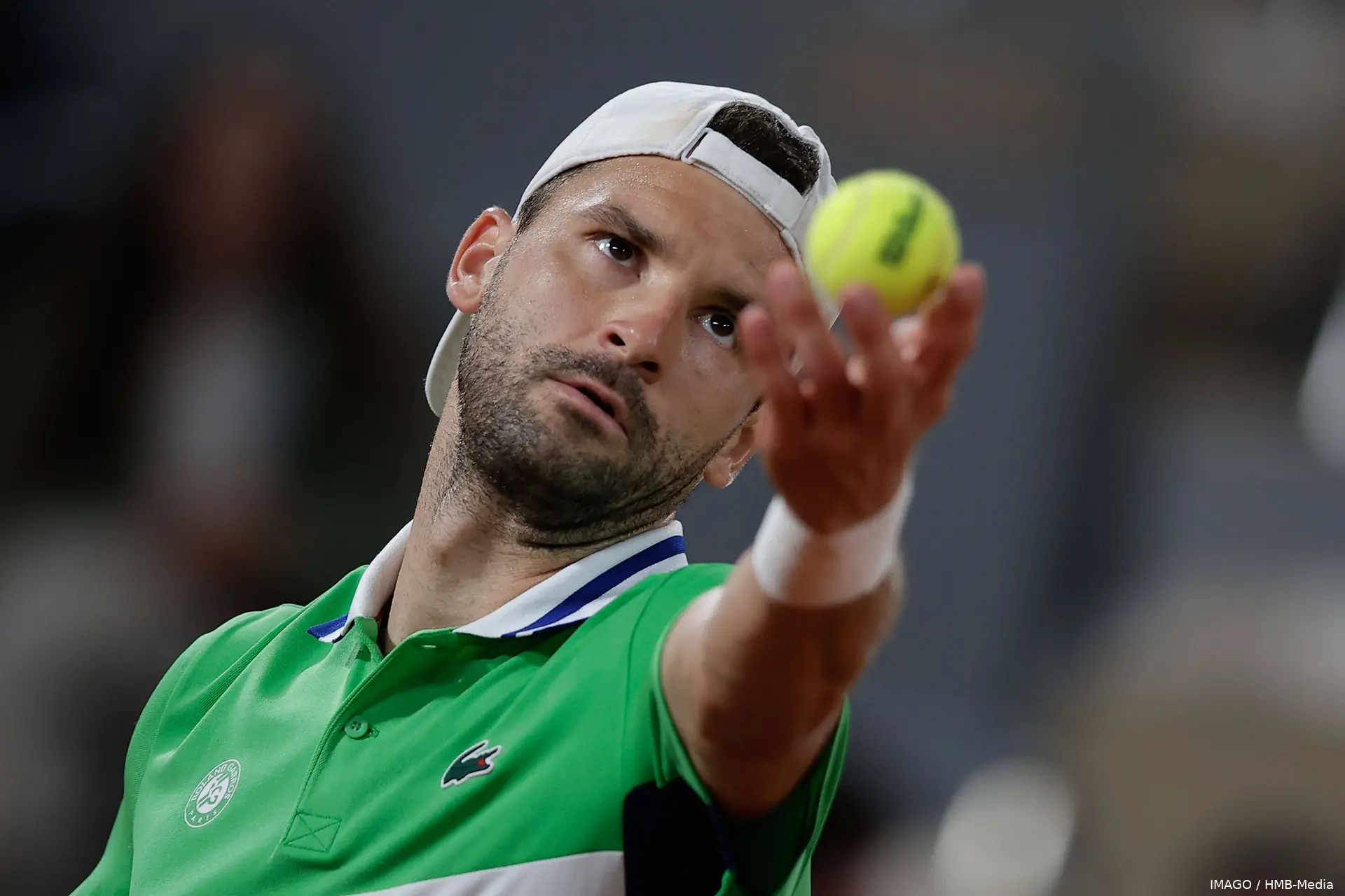 dimitrov grigor rg24 imagohmb media2
