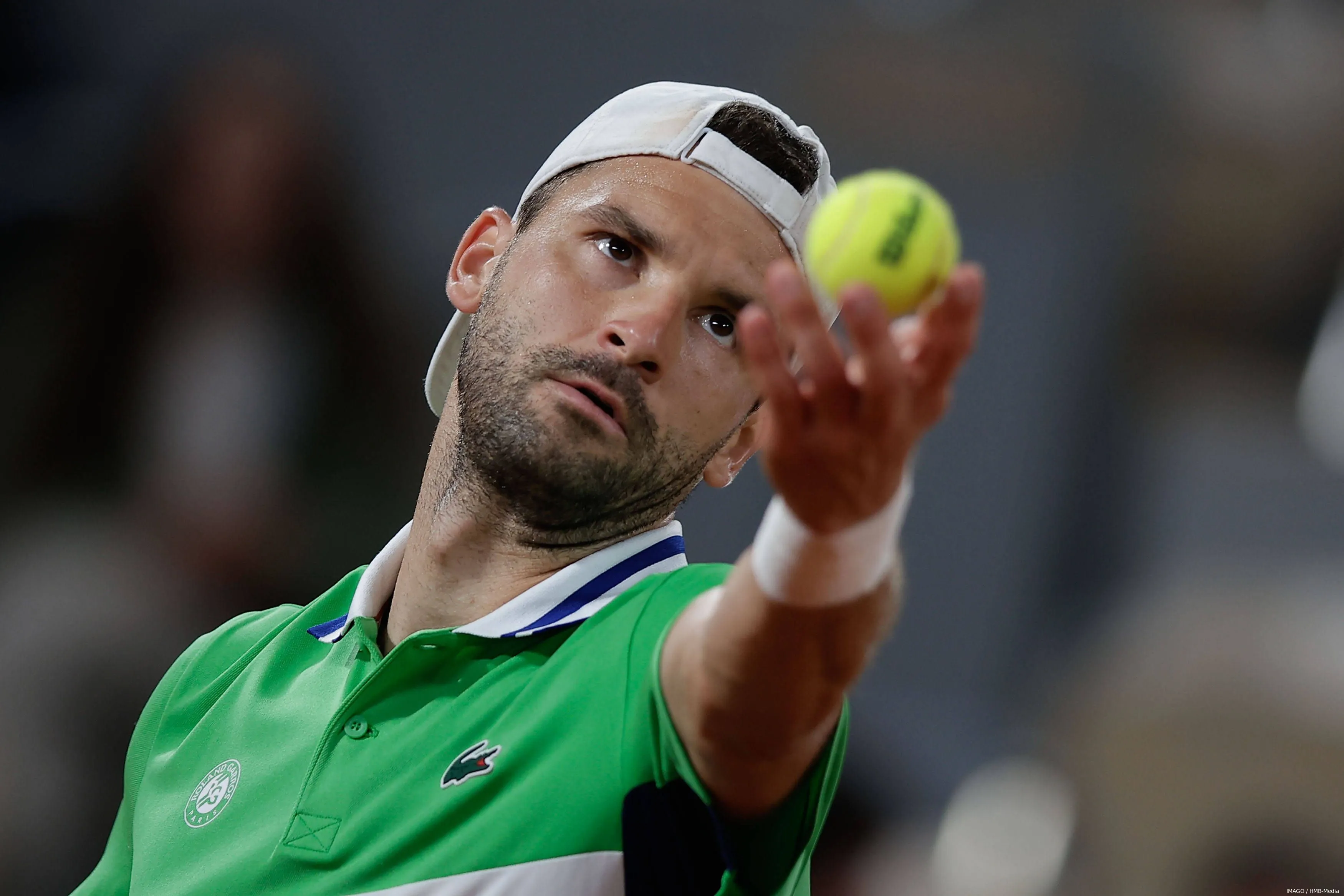 dimitrov grigor rg24 imagohmb media2