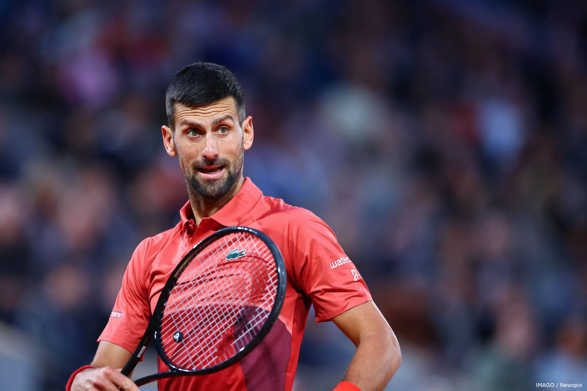 djokovic novak rg24 imagonewspix
