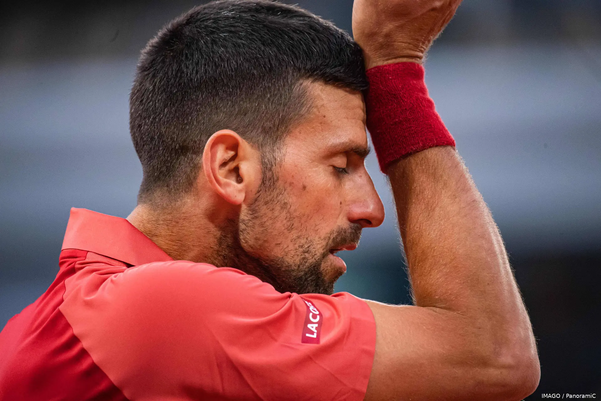 djokovic novak rg24 imagopanoramic3