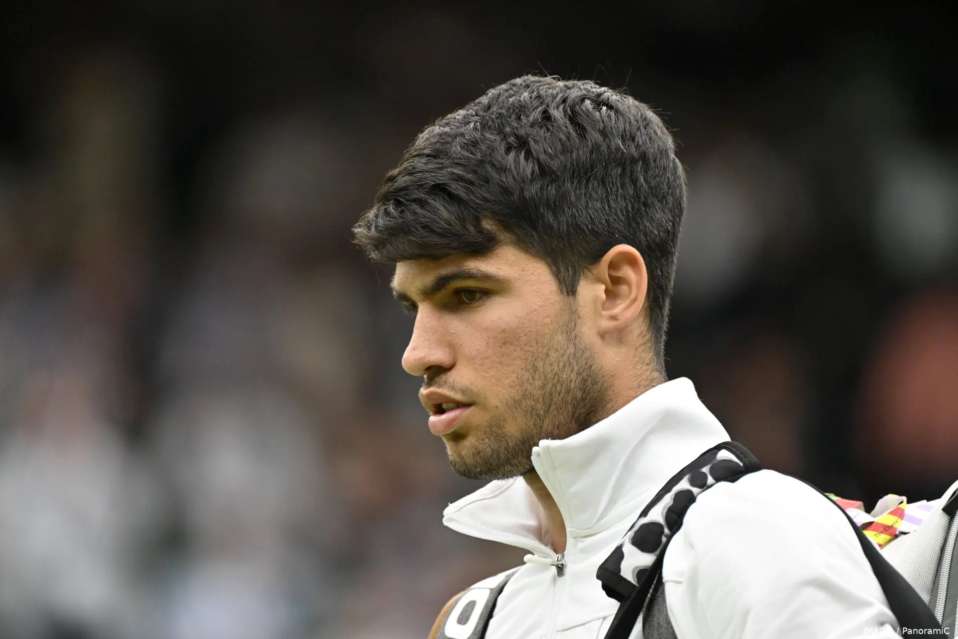 alcaraz carlos wimbledon24 imagopanoramic