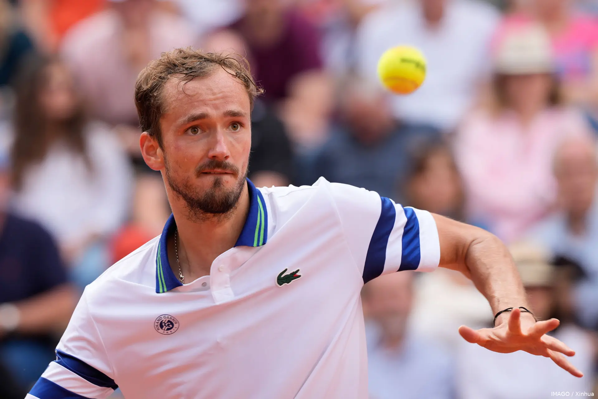 medvedev daniil rg24 imagoxinhua