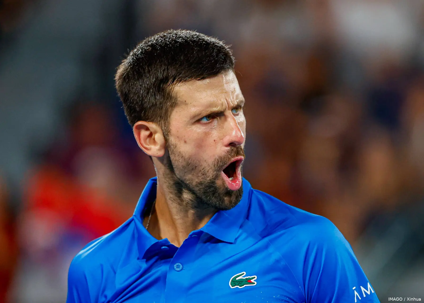 djokovic novak australianopen25 imagoxinhua