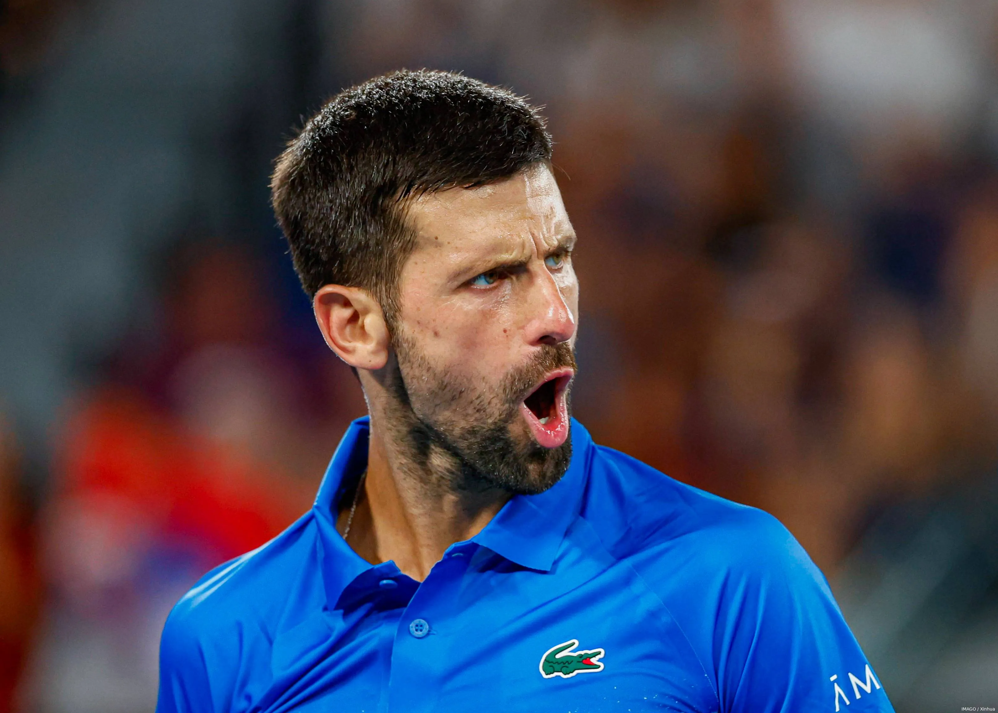 djokovic novak australianopen25 imagoxinhua