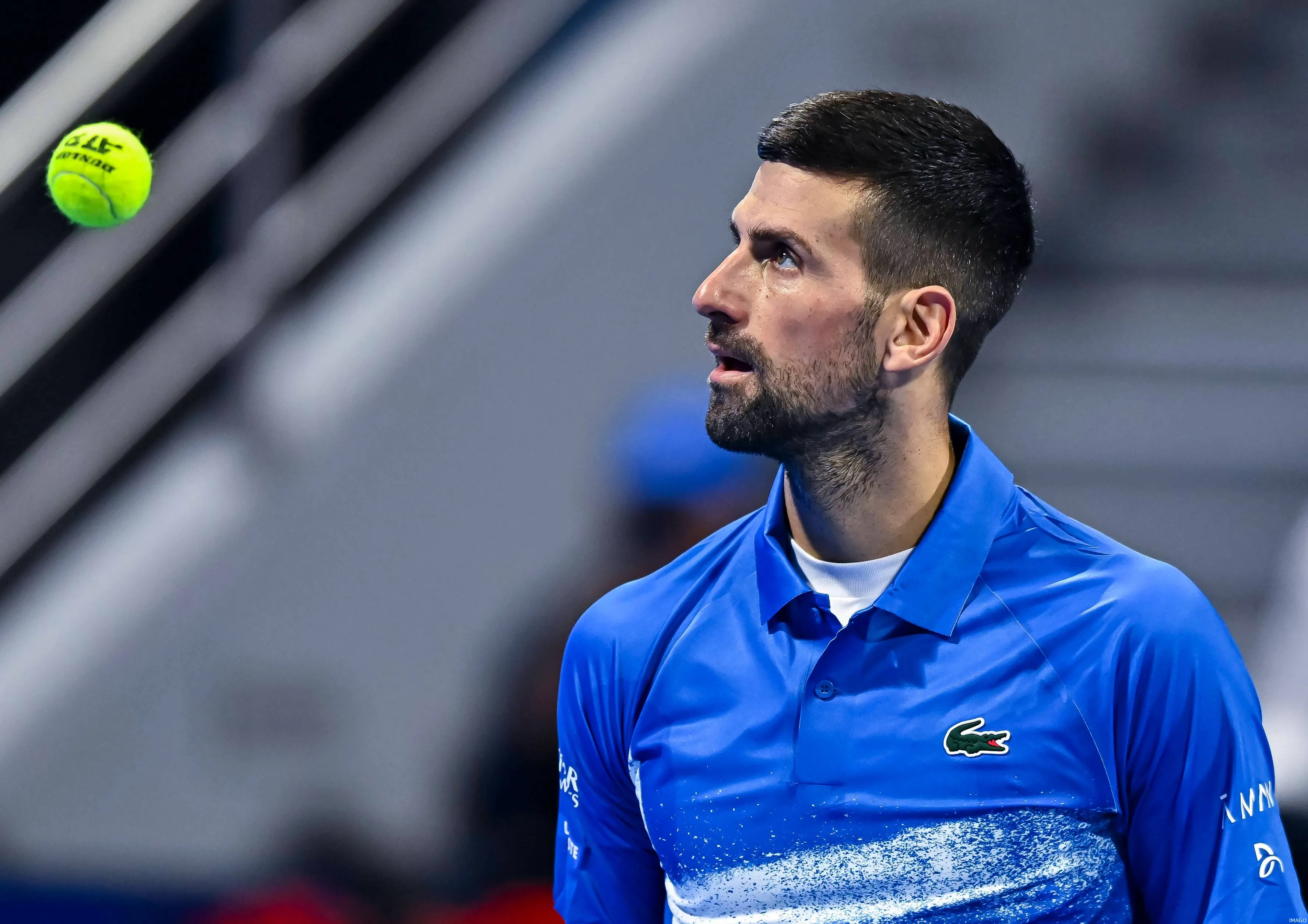 djokovicqatar
