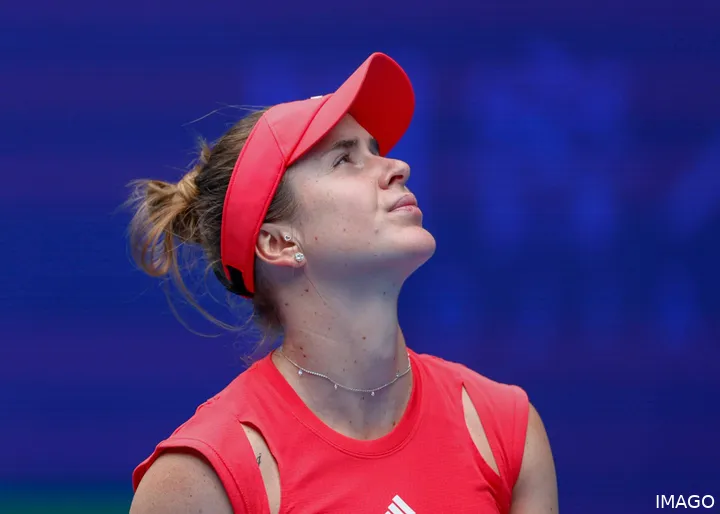 Elina Svitolina has performed superbly since her return.