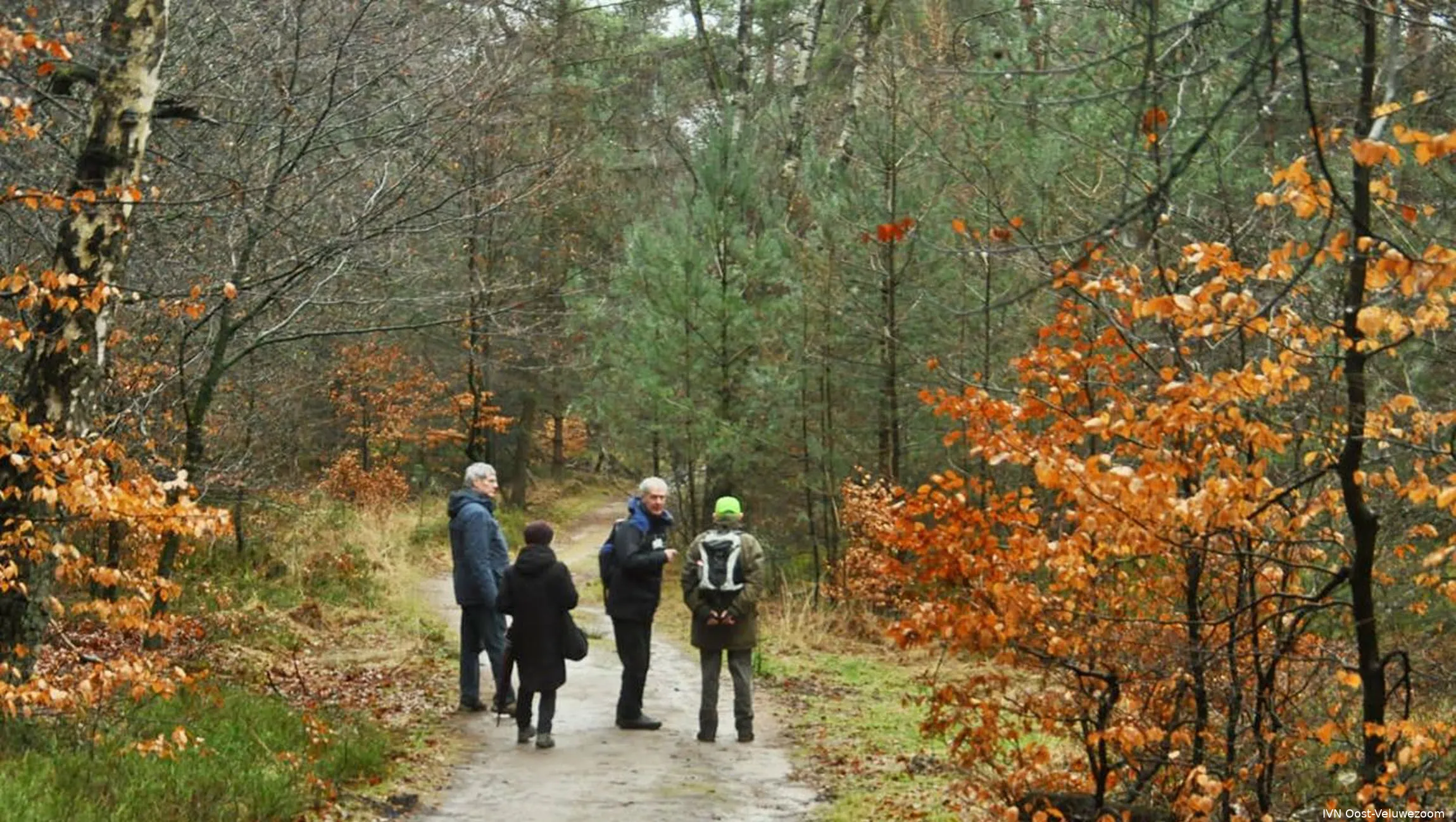 IVN wandeling in het Rozendaalse bos