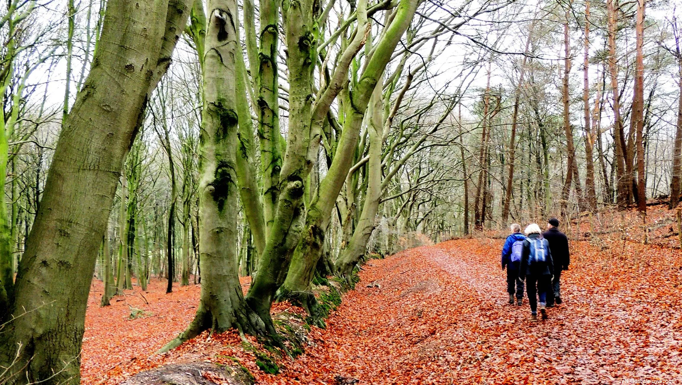 Wandeling tussen Kamerdalseberg en Rhederhof: Grens van hoog en laag bij Rheden