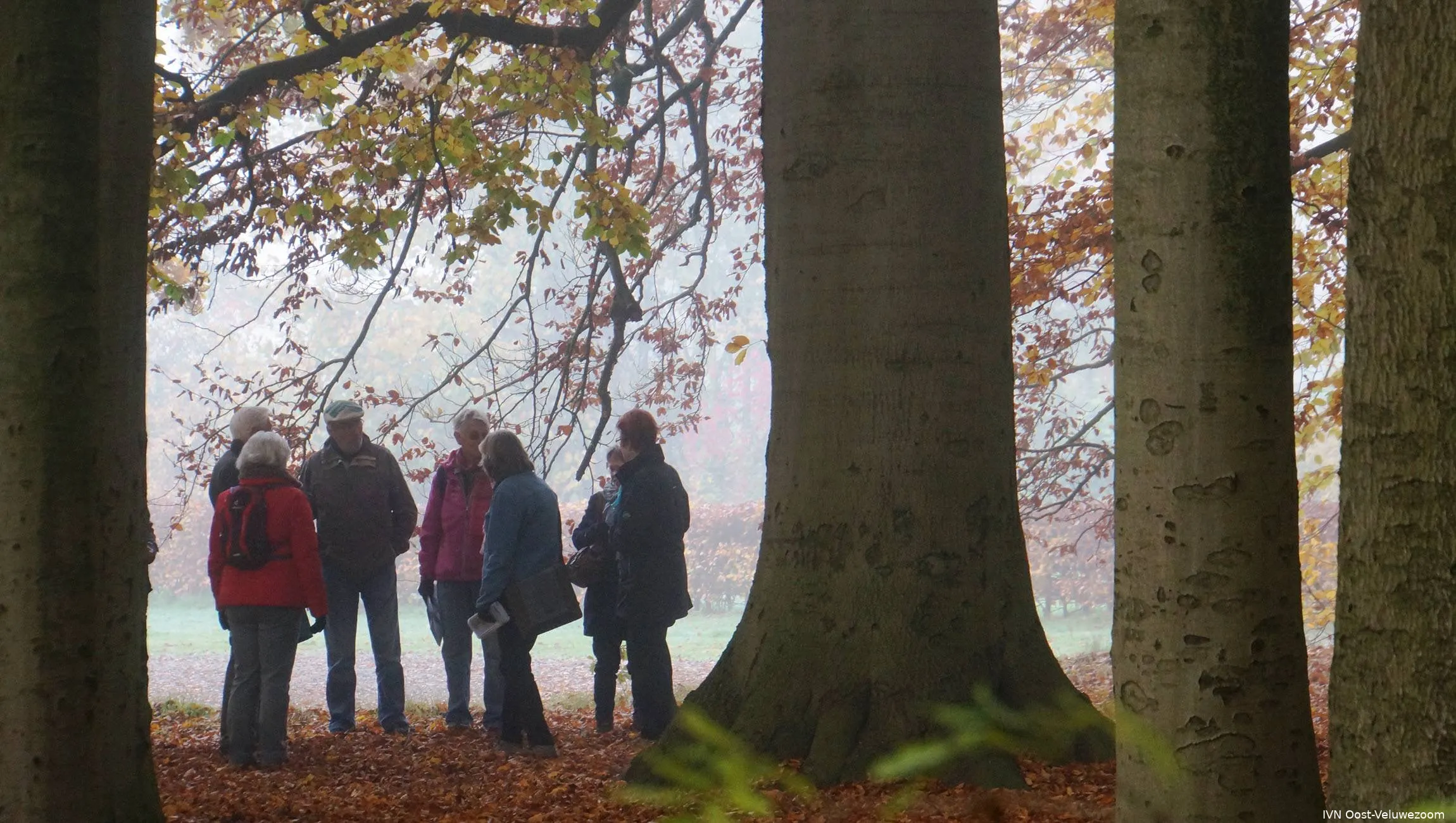 Sylvesterwandeling met snert in Velp