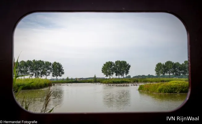 ivnrinwaalpark lingezegen vanaf het waterrijk 0650