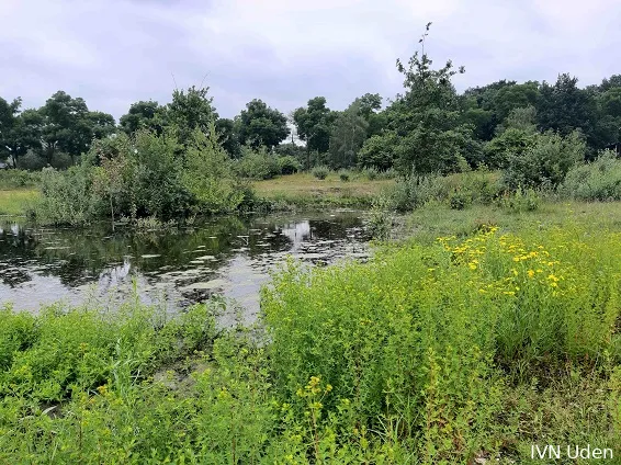 stadsweide 2024 1kopie