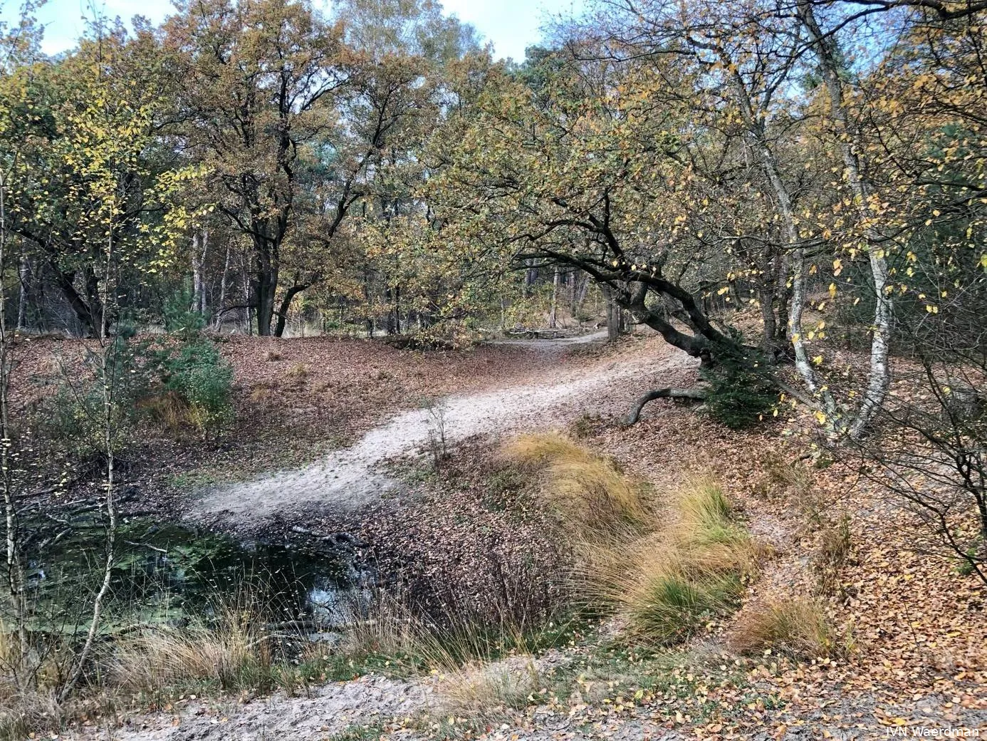 Wandeling door de duinen