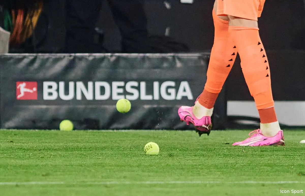 all deux matchs de bundesliga stoppes par des jets de balles de tennis icon 240209 99 935879 dpai 371766