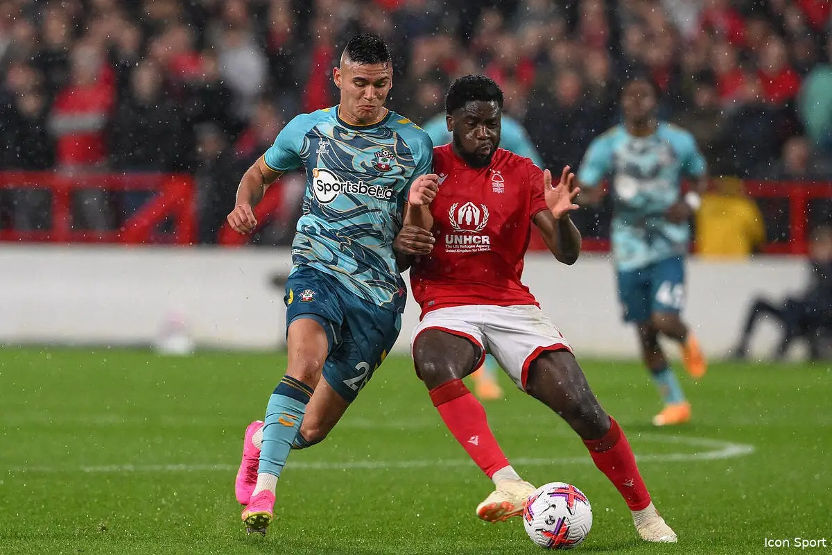 ang nottingham forest pousse southampton vers la d2 icon sipausa 46156333 360178
