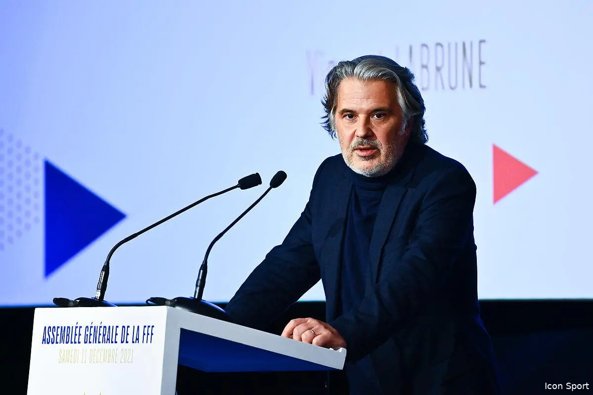 l1 600 millions dans les caisses le foot francais fait la chenille icon dib 111221 10 101 337371