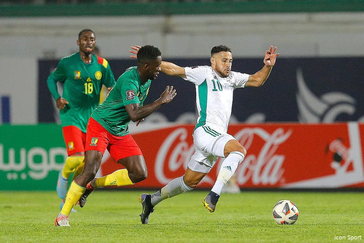la fifa rend dingue l algerie icon 66125990 339625