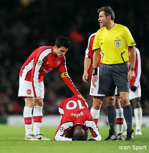 wenger encense gallas et cesc 12906