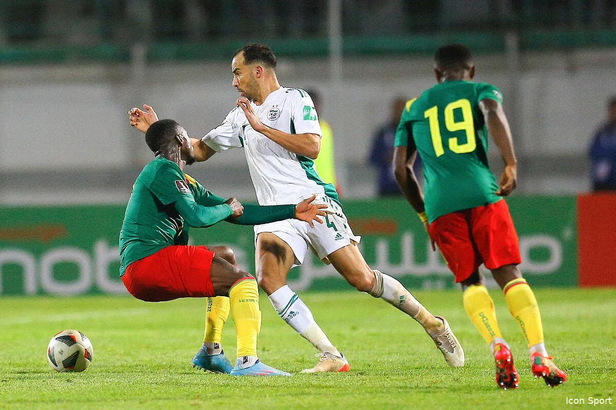 algerie une panne de var au pire moment contre le cameroun icon 66125566 338397