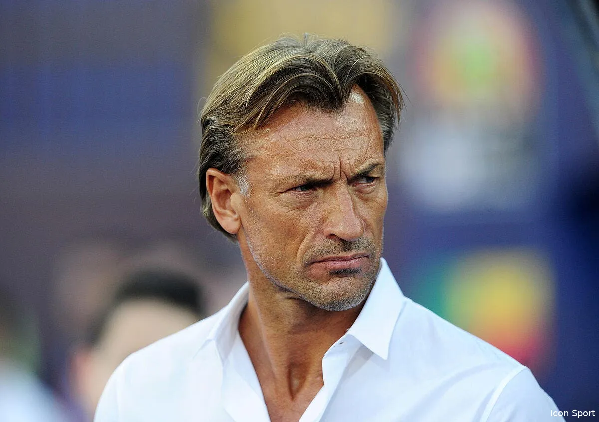 asse herve renard bientot sur le banc des verts icon 43945184 353908