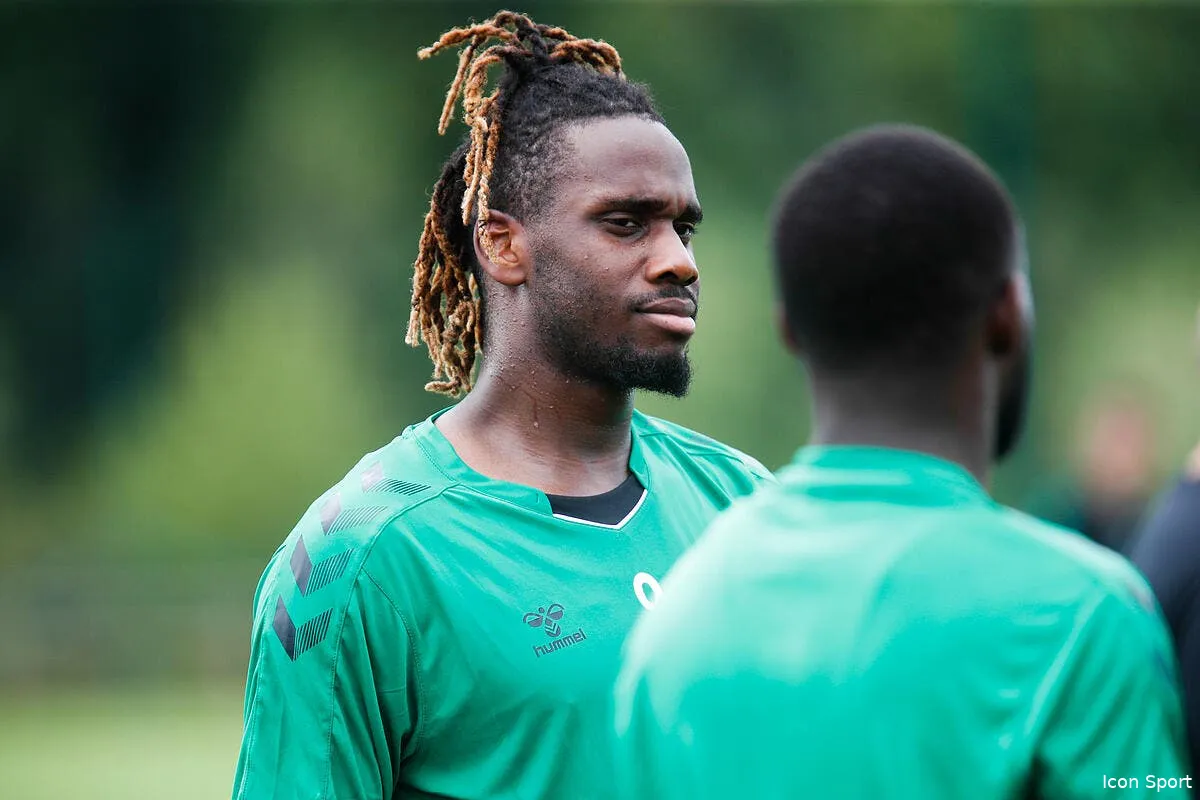 asse ivre a l entrainement les verts le virent icon 25i6205 353115