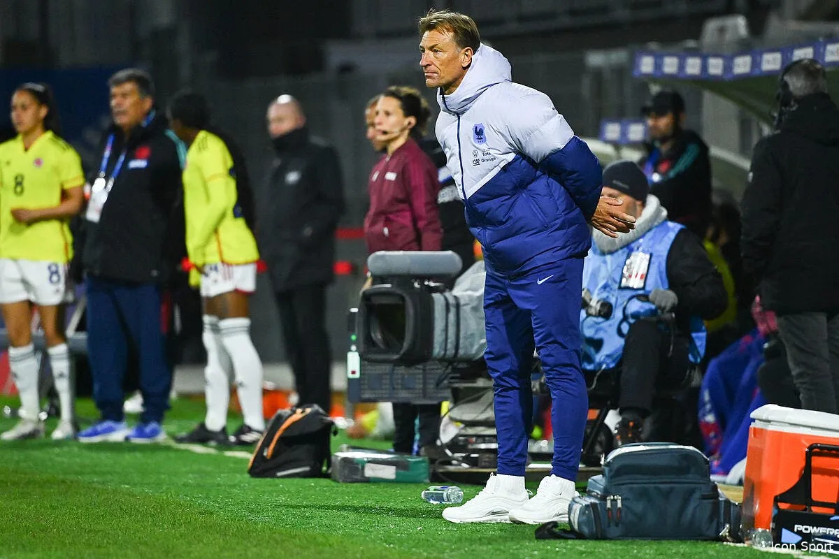 aucune sanction ni gueulante renard a epargne les bleues renard 6 358998