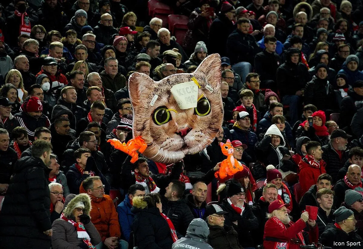 chat frappe l affaire zouma portee en justice icon 65678486 336937